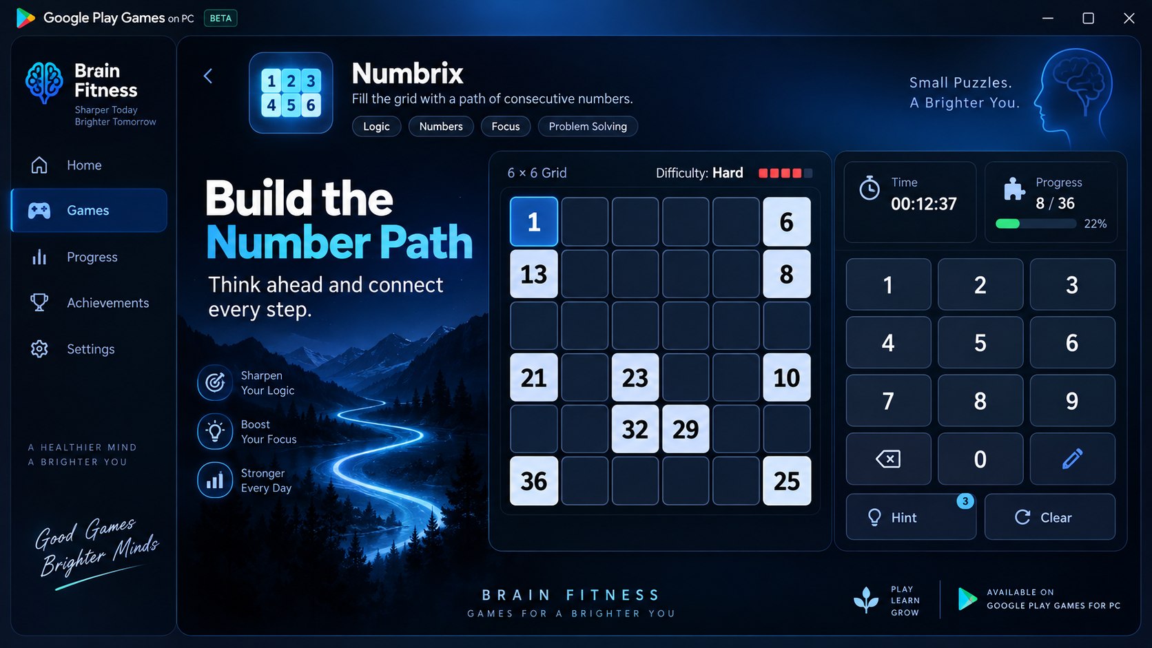 Brain Fitness Numbrix interface